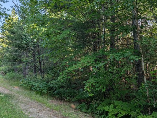 Lot B Hwy. 24 , Orr, MN 55771