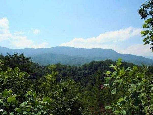 64 Vixen Run , Unit 64, Gatlinburg, TN 37738