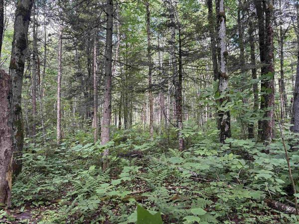 0 Newark Road, Brighton, VT 05846