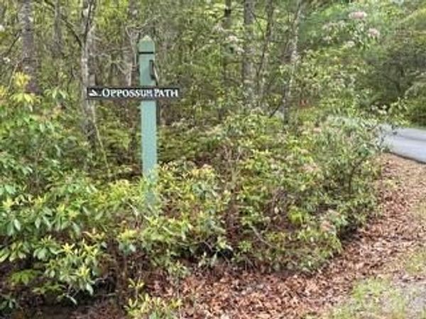 FR16 opossum Path , Brevard, NC 28712