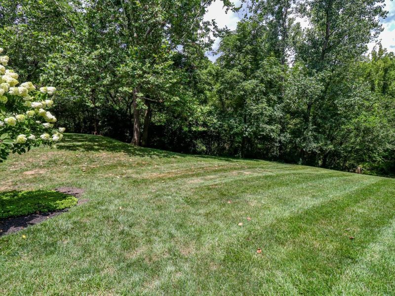 7010 Birch Creek Court, Liberty Township, OH 45044 Photo 41