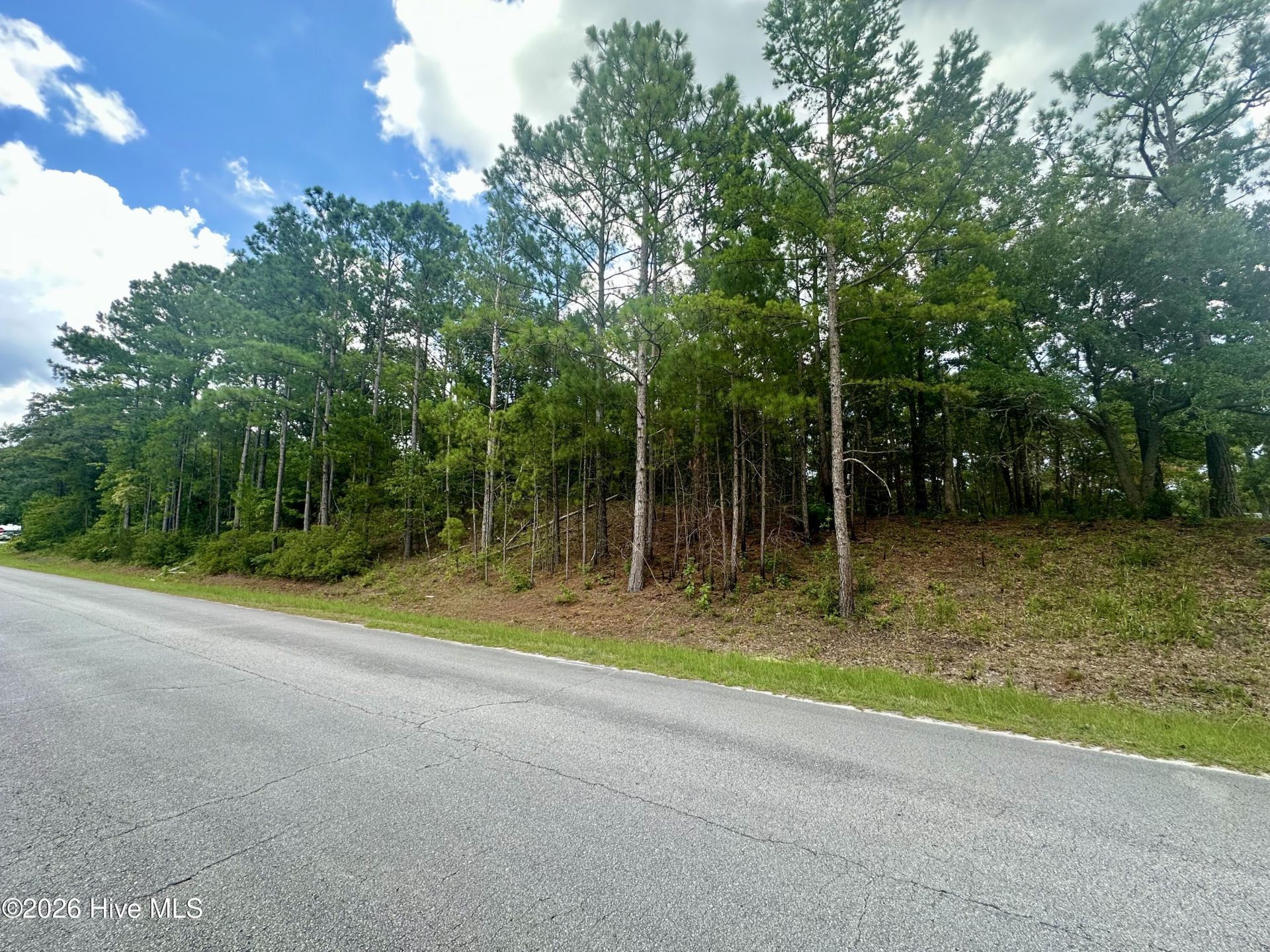 Tbd Wetherington Landing Road, Stella, NC 28582 Main Photo