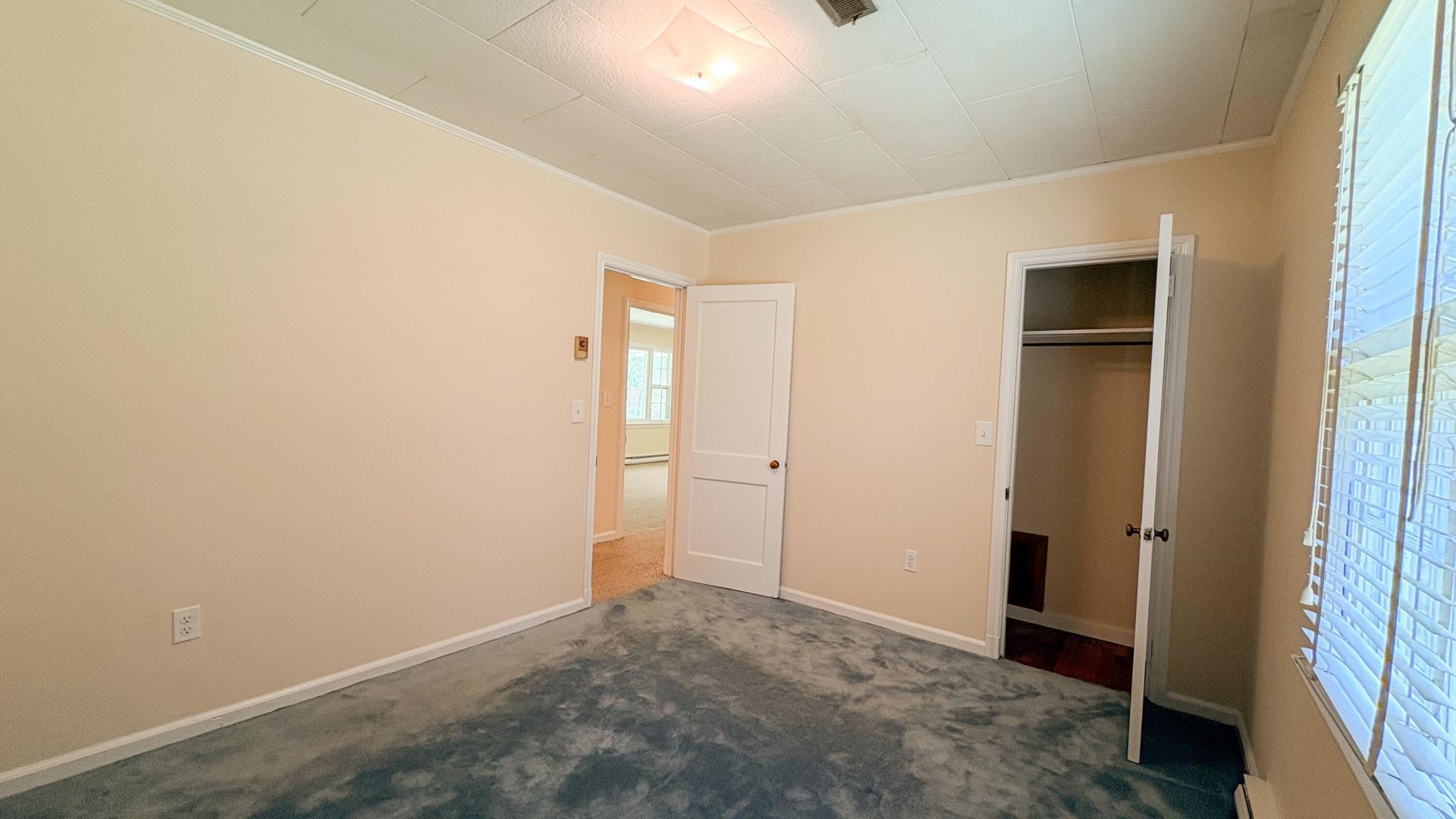 208 George Street Photo 22