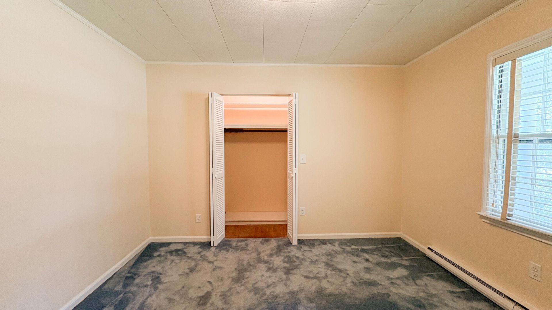 208 George Street Photo 24