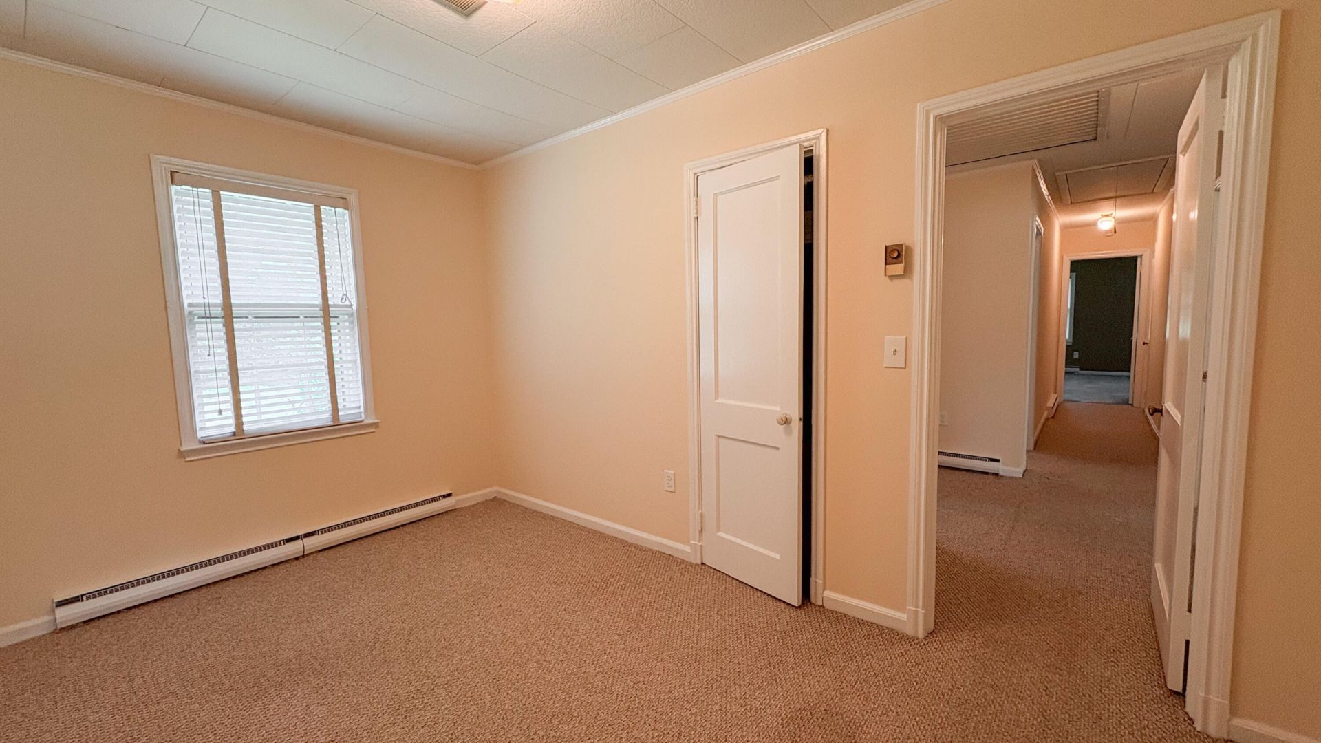 208 George Street Photo 28