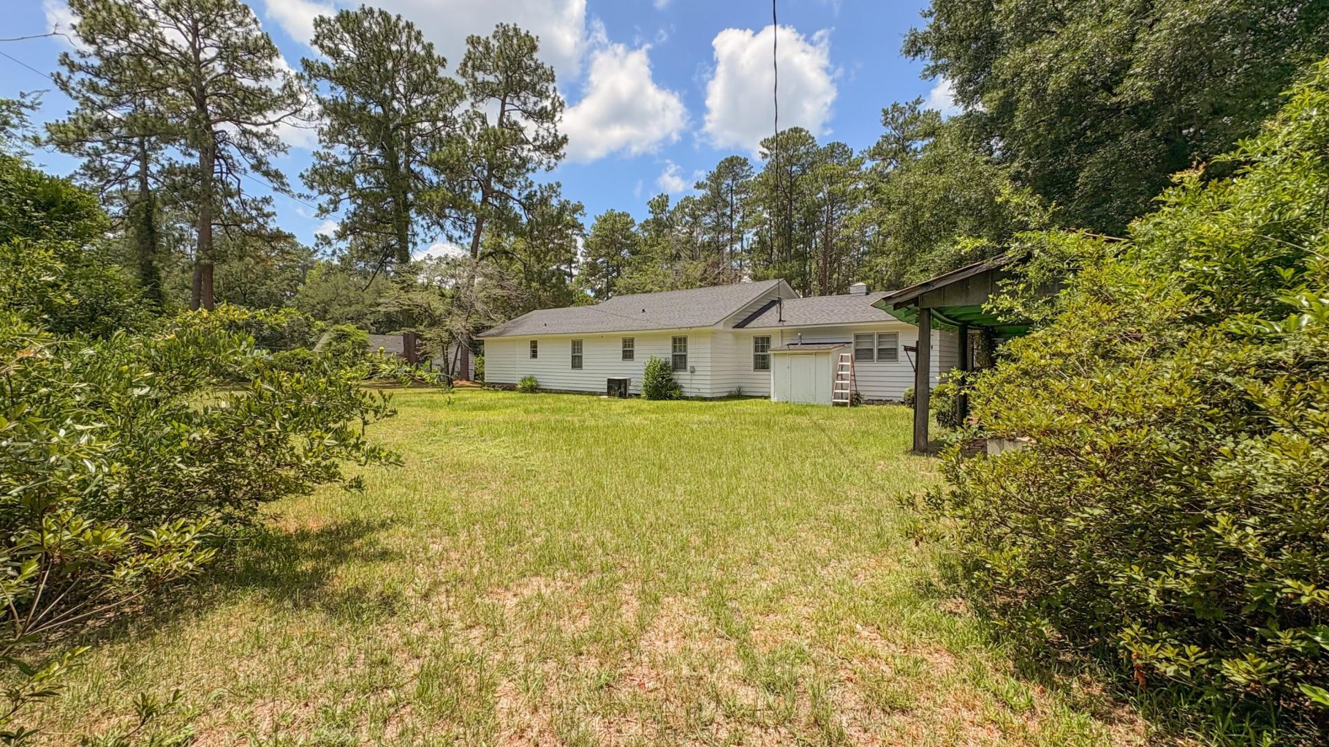 208 George Street Photo 29