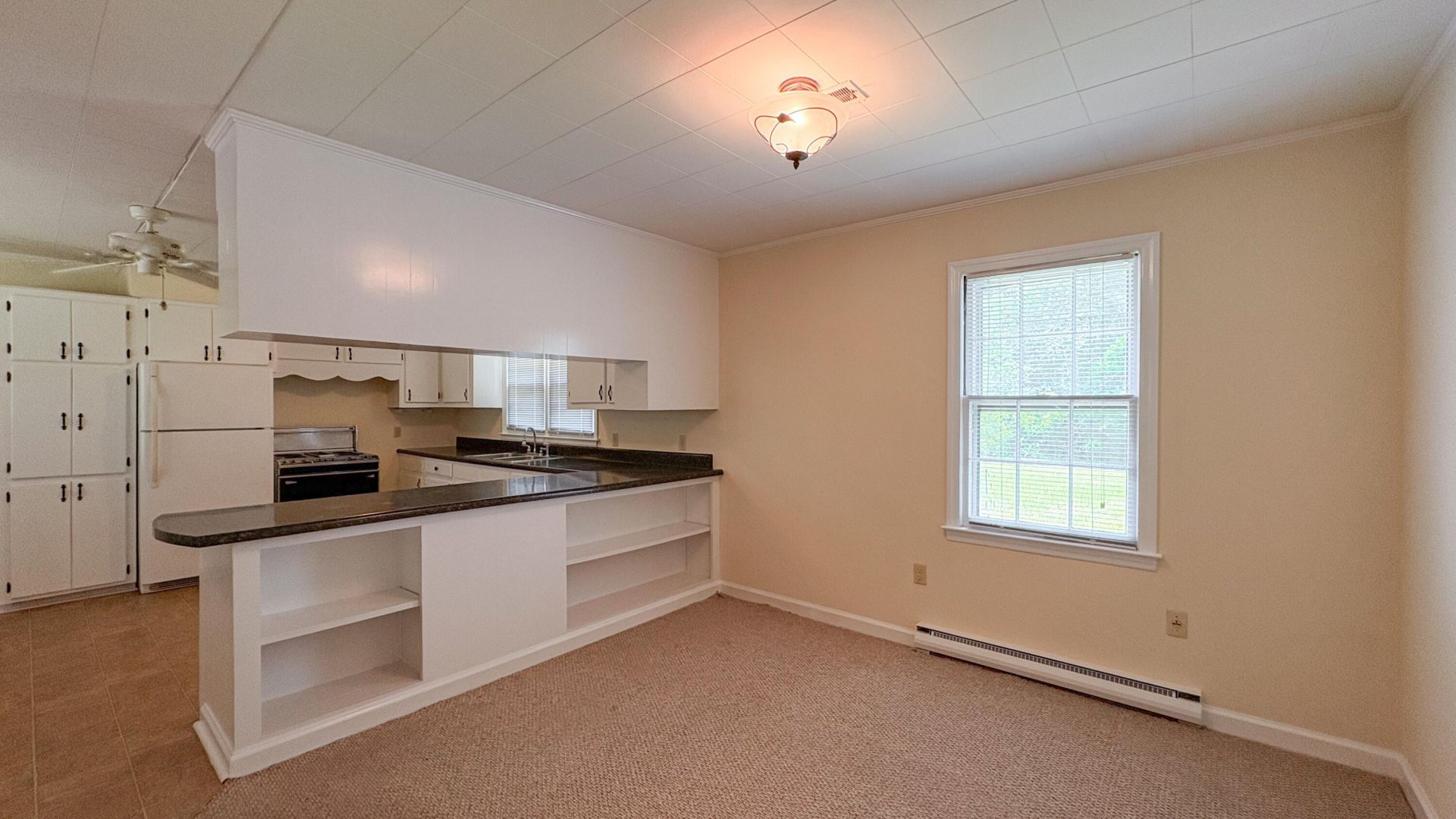 208 George Street Photo 7