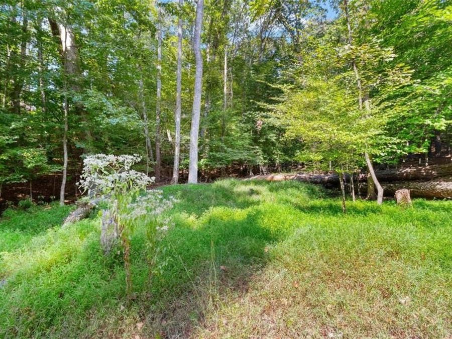Property Image 82