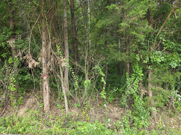 D Street , Louisa, KY 41230
