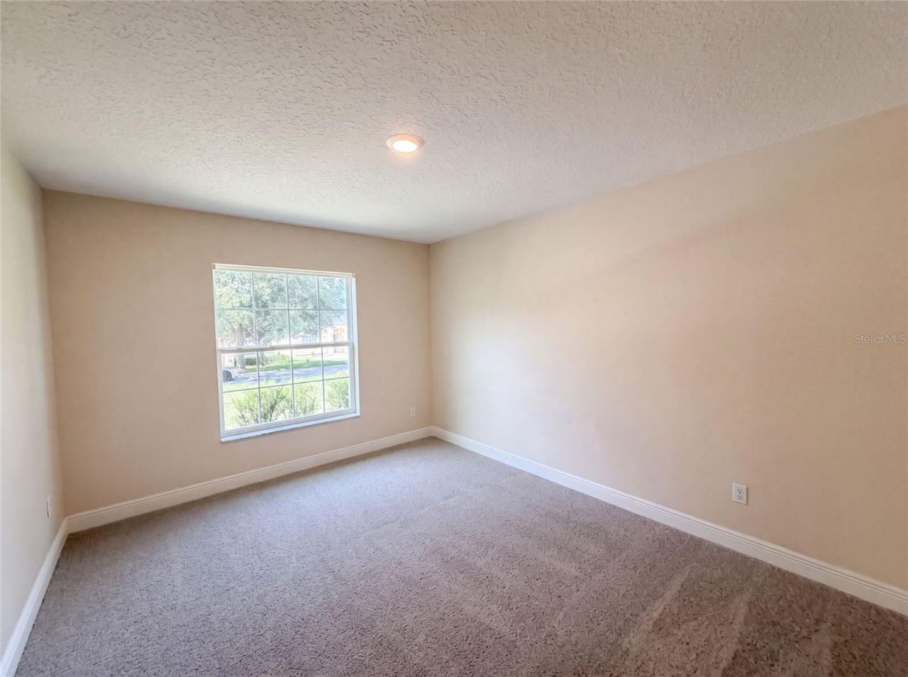 33137 Irongate Drive , Leesburg, FL 34788 Photo