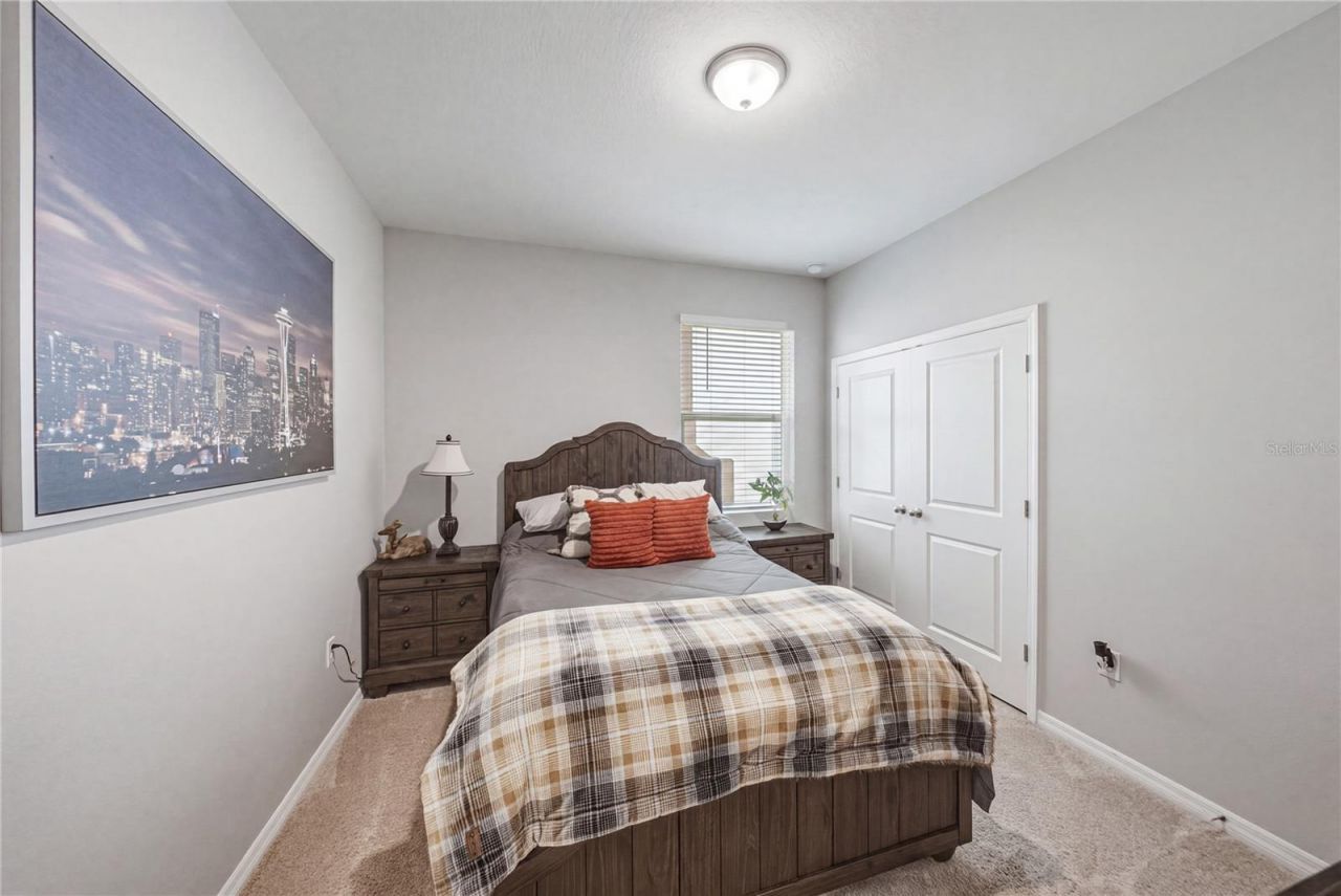 8382 Bower Bass Circle , Wesley Chapel, FL 33545 Photo