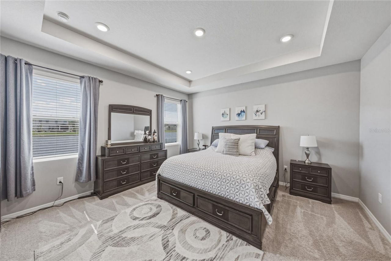 8382 Bower Bass Circle , Wesley Chapel, FL 33545 Photo