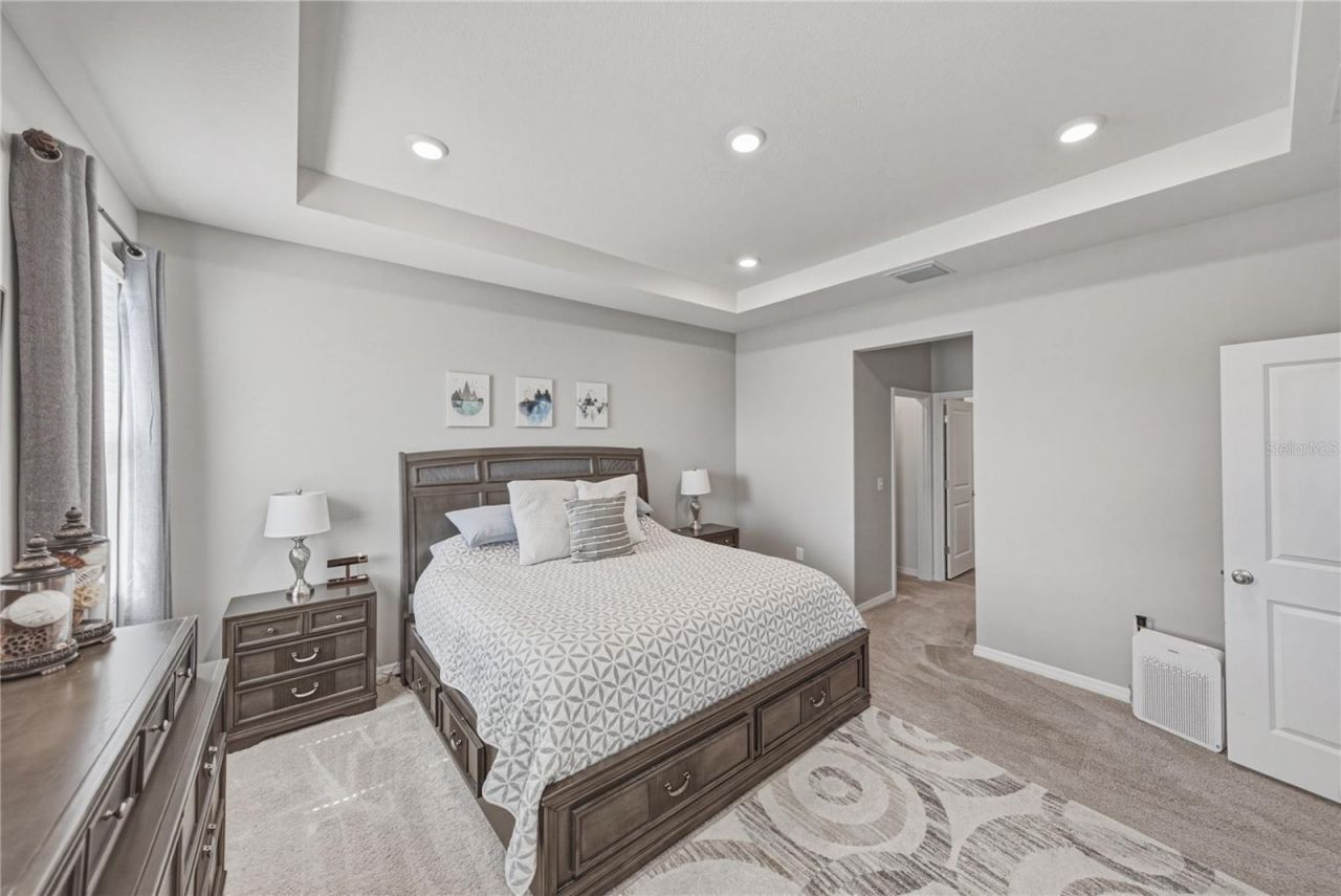8382 Bower Bass Circle , Wesley Chapel, FL 33545 Photo