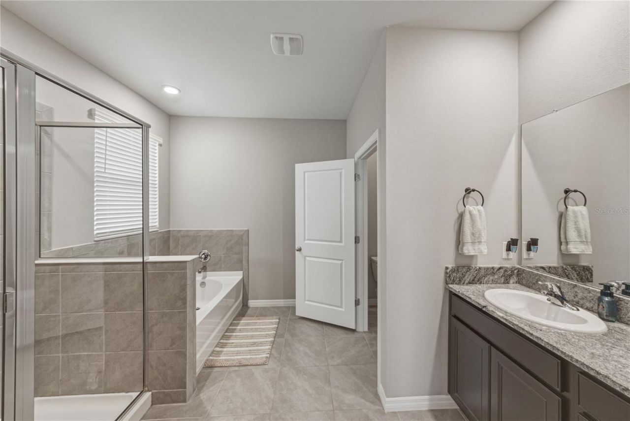 8382 Bower Bass Circle , Wesley Chapel, FL 33545 Photo