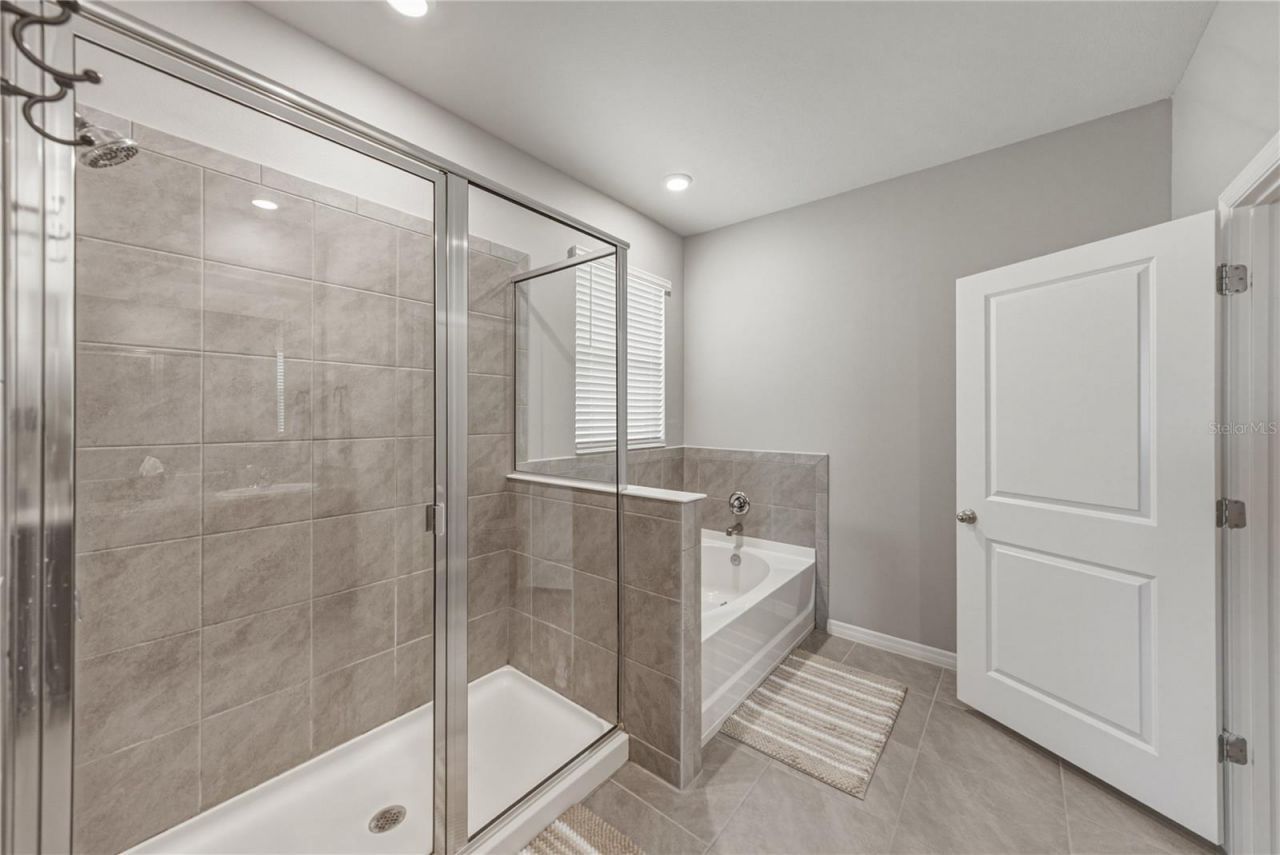 8382 Bower Bass Circle , Wesley Chapel, FL 33545 Photo