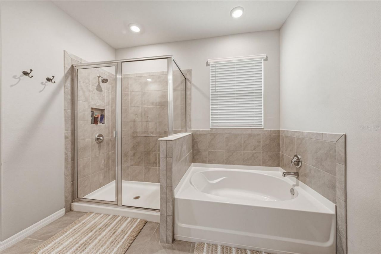 8382 Bower Bass Circle , Wesley Chapel, FL 33545 Photo