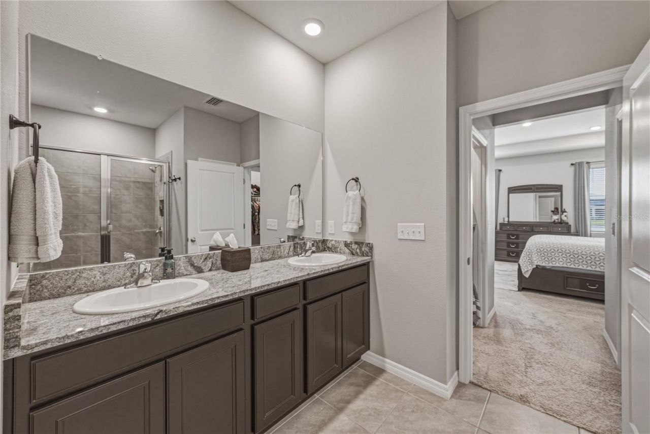 8382 Bower Bass Circle , Wesley Chapel, FL 33545 Photo
