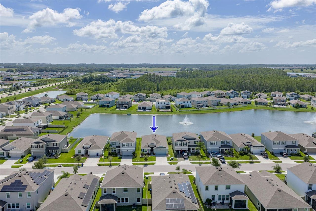 8382 Bower Bass Circle , Wesley Chapel, FL 33545 Photo
