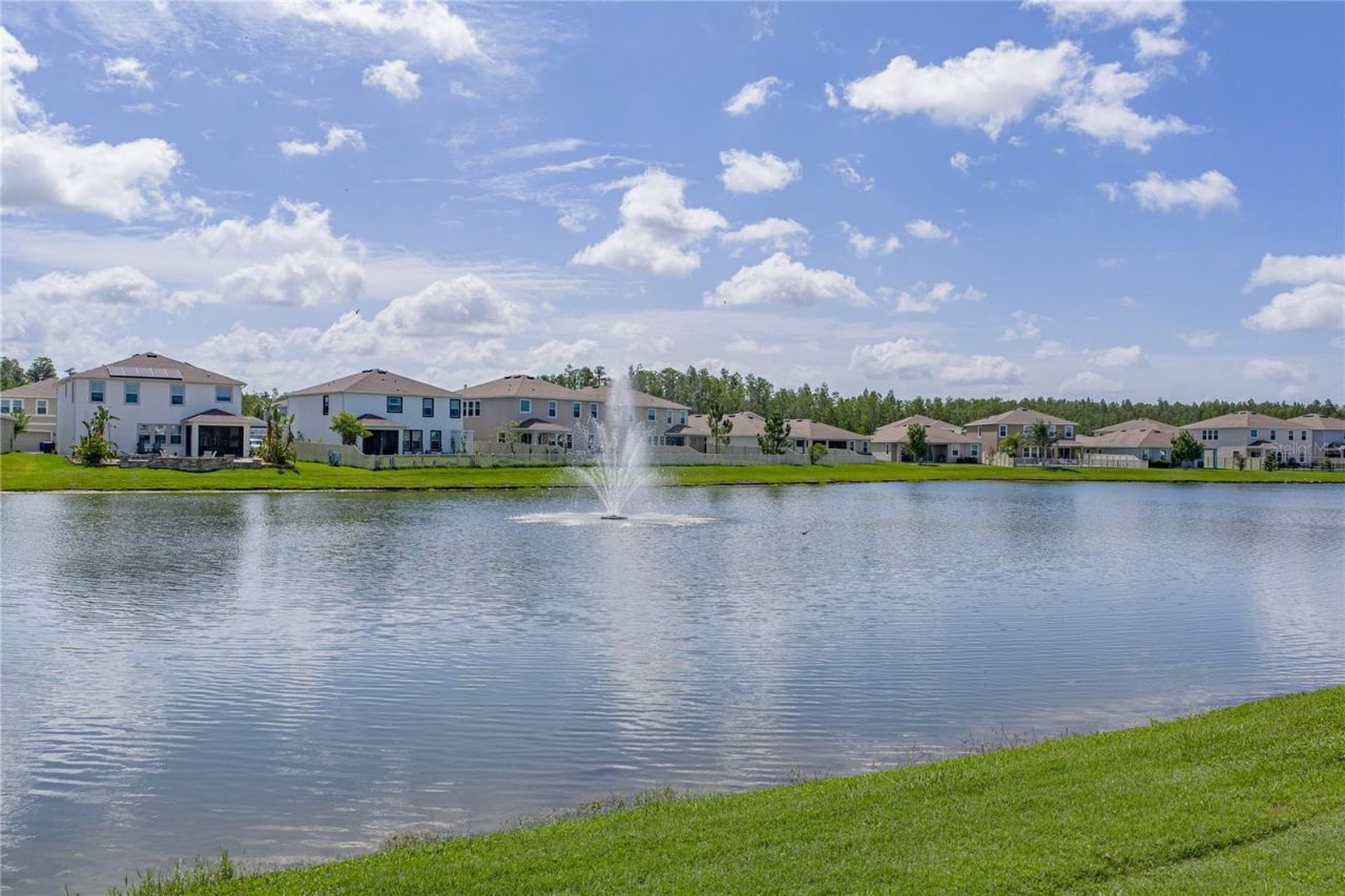 8382 Bower Bass Circle , Wesley Chapel, FL 33545 Photo