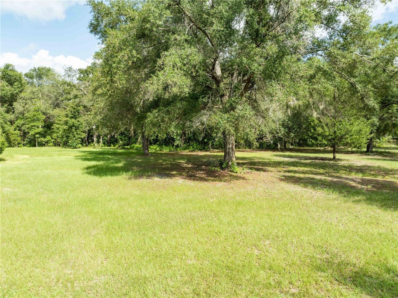 9889 NW 9th Court, Branford, FL 32008 Photo