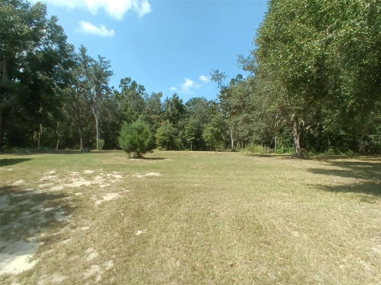 9889 NW 9th Court , Branford, FL 32008 Photo
