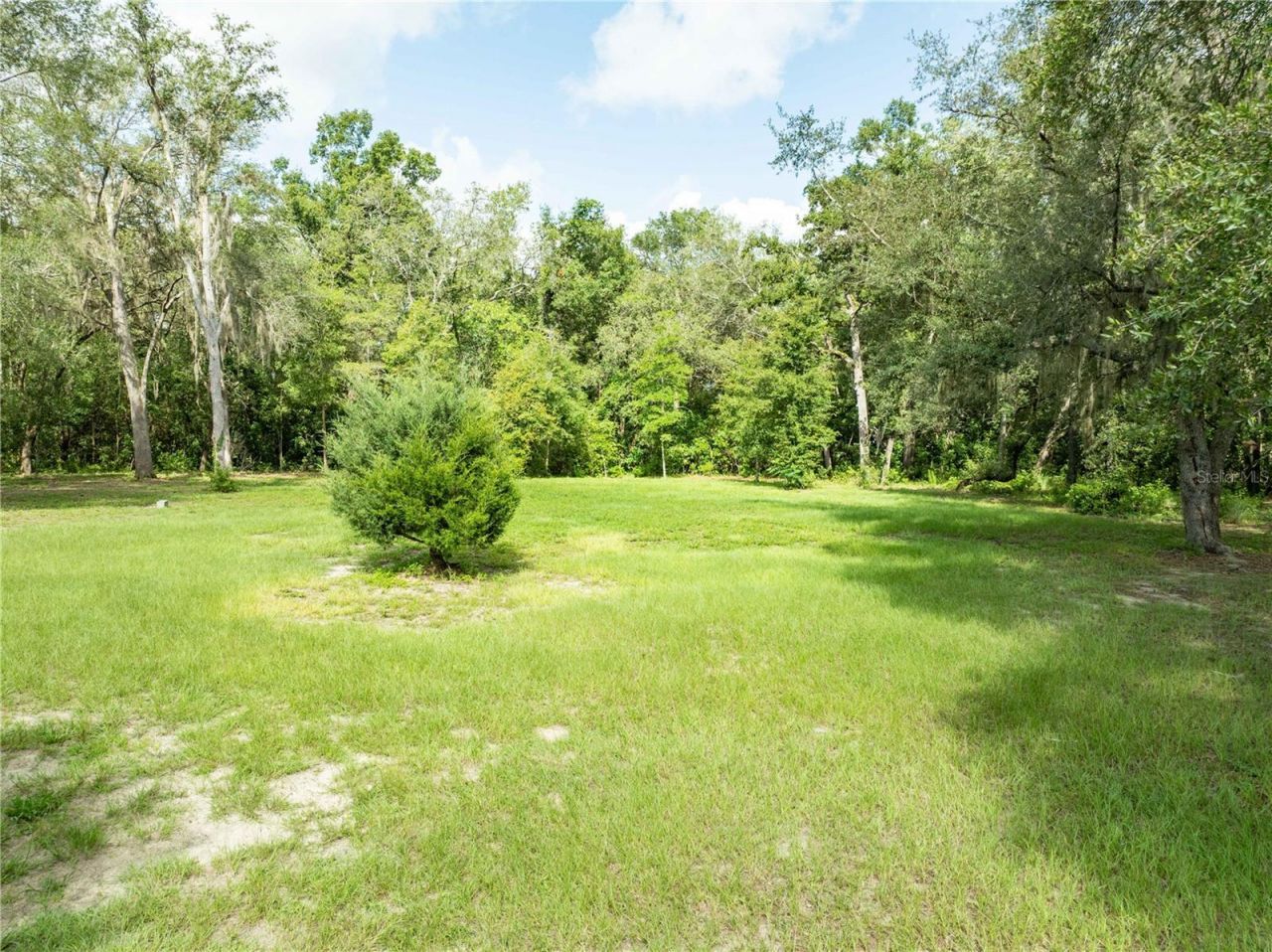 9889 NW 9th Court, Branford, FL 32008 Photo
