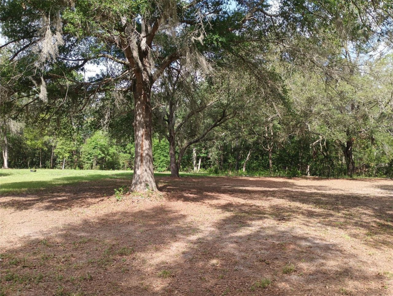 9889 NW 9th Court , Branford, FL 32008 Photo