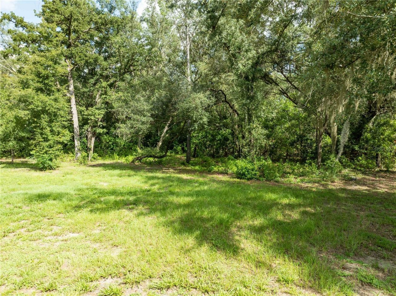 9889 NW 9th Court, Branford, FL 32008 Photo