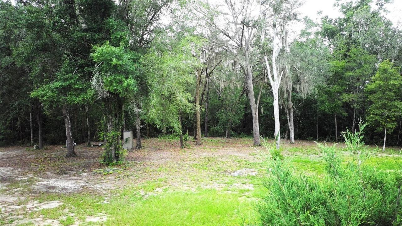 9889 NW 9th Court , Branford, FL 32008 Photo