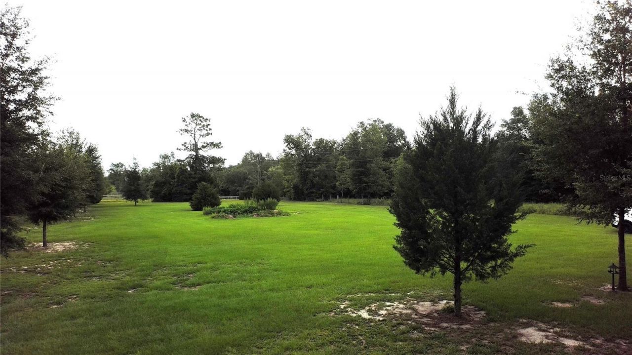 9889 NW 9th Court , Branford, FL 32008 Photo