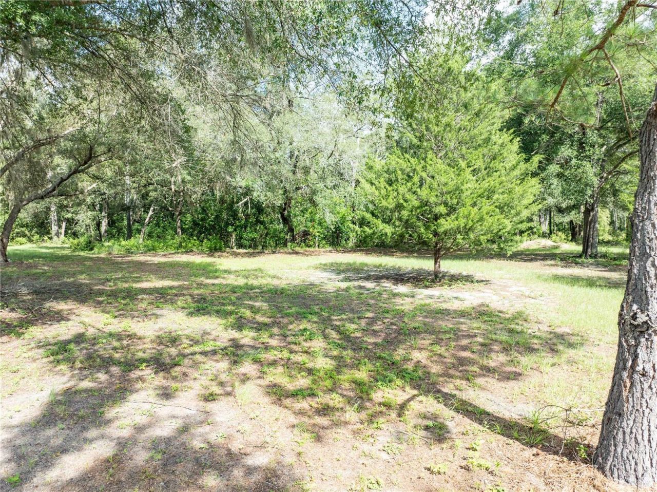 9889 NW 9th Court, Branford, FL 32008 Photo