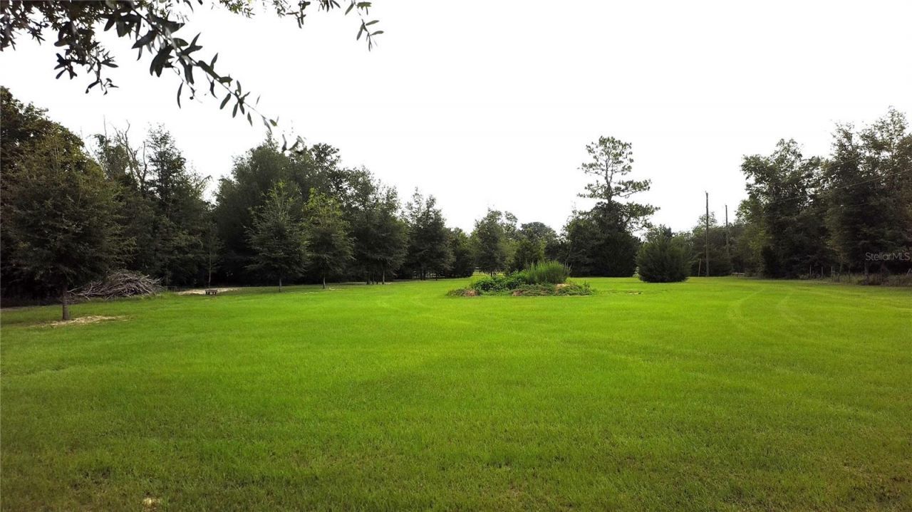 9889 NW 9th Court , Branford, FL 32008 Photo