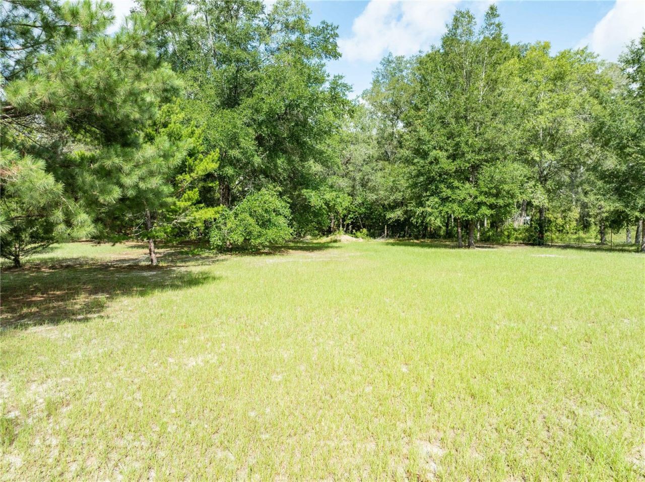 9889 NW 9th Court, Branford, FL 32008 Photo