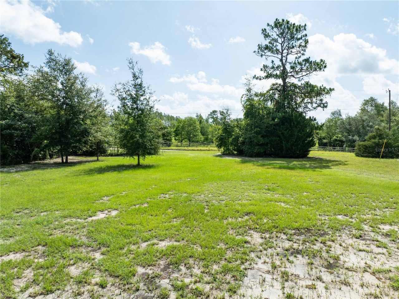 9889 NW 9th Court, Branford, FL 32008 Photo