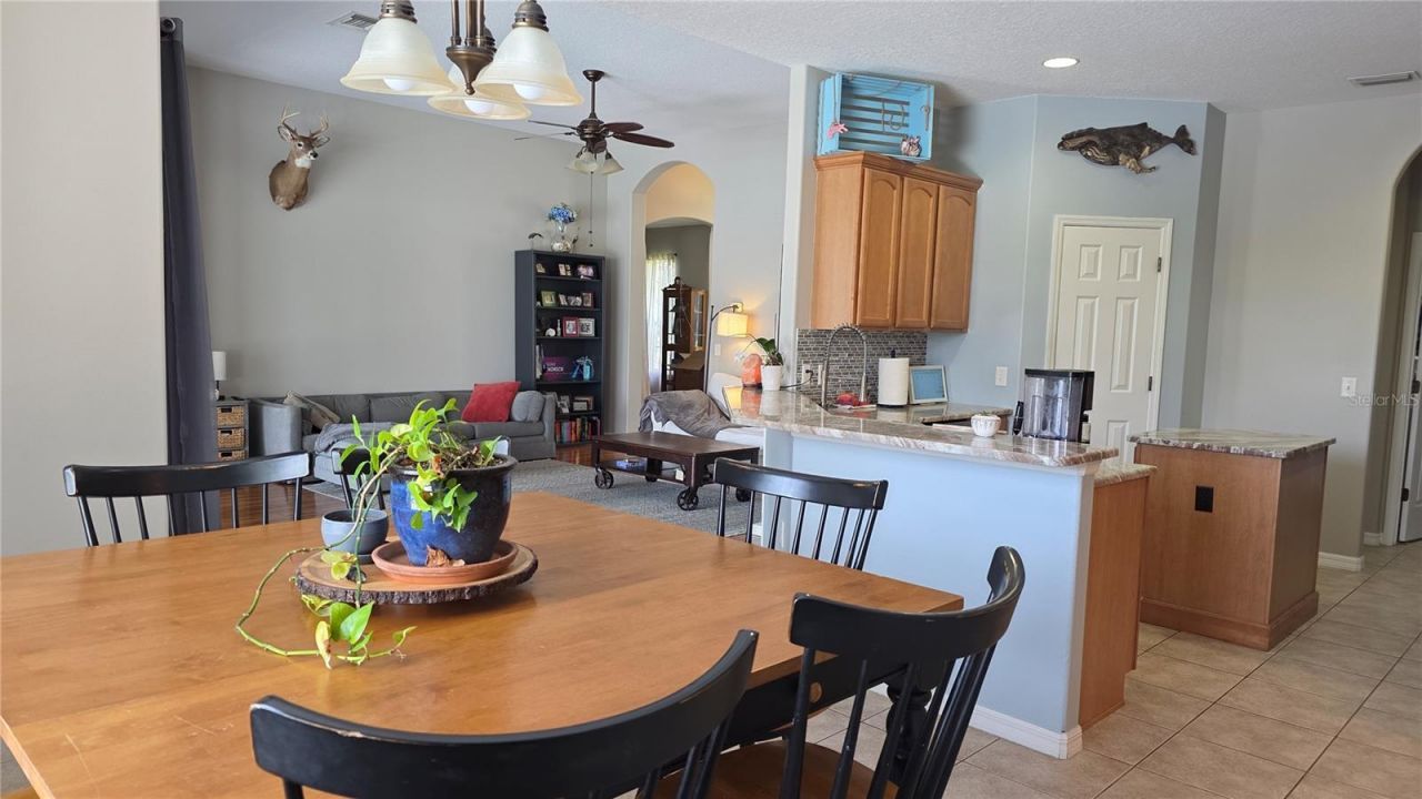36812 Queen Bee Lane, Grand Island, FL 32735 Photo