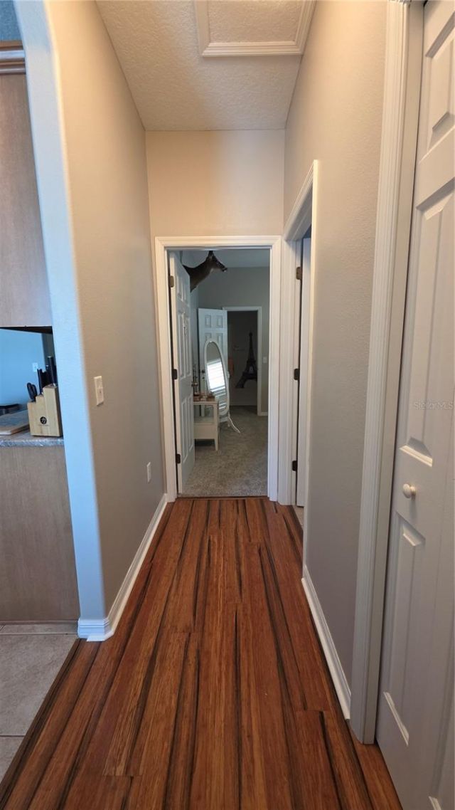 36812 Queen Bee Lane, Grand Island, FL 32735 Photo
