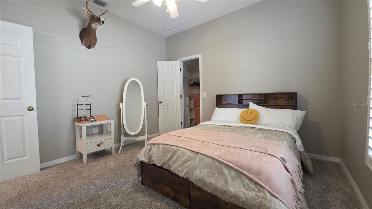 36812 Queen Bee Lane, Grand Island, FL 32735 Photo