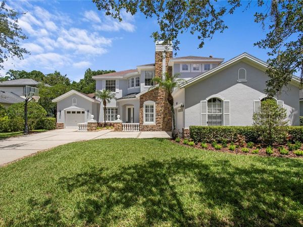 2113 CLIMBING IVY DRIVE, TAMPA, FL 33618