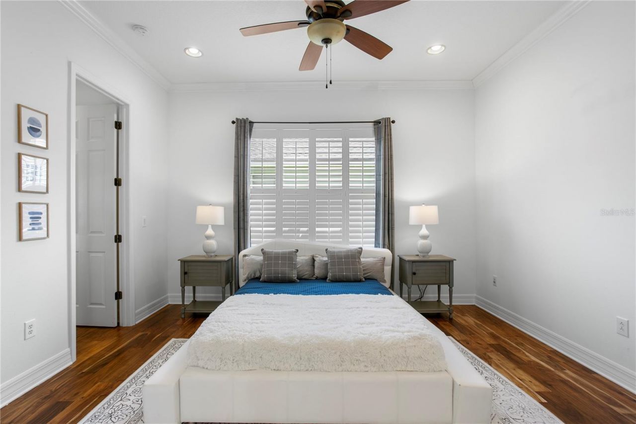 2113 Climbing Ivy Drive, Tampa, FL 33618 Photo