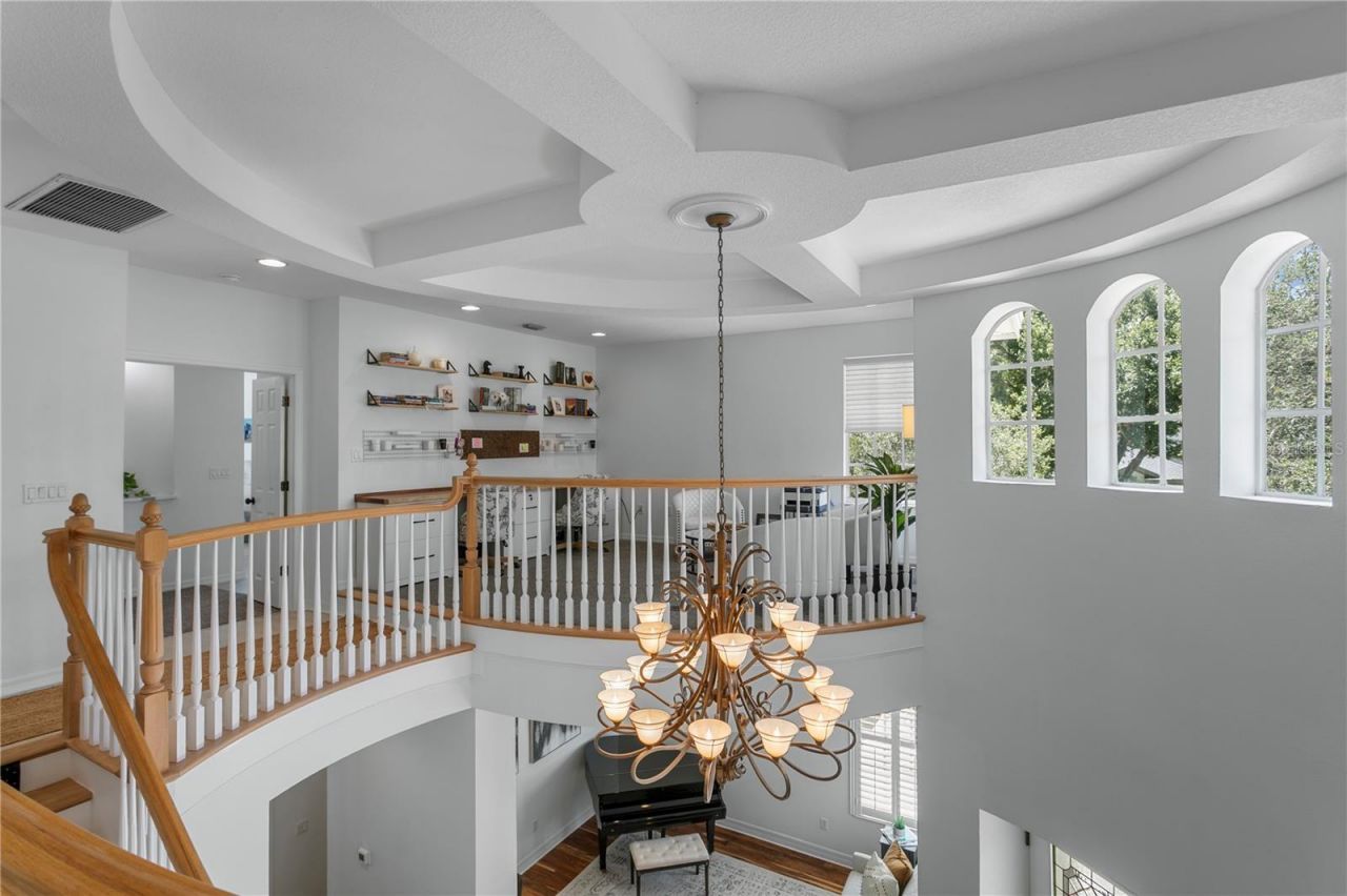 2113 Climbing Ivy Drive, Tampa, FL 33618 Photo