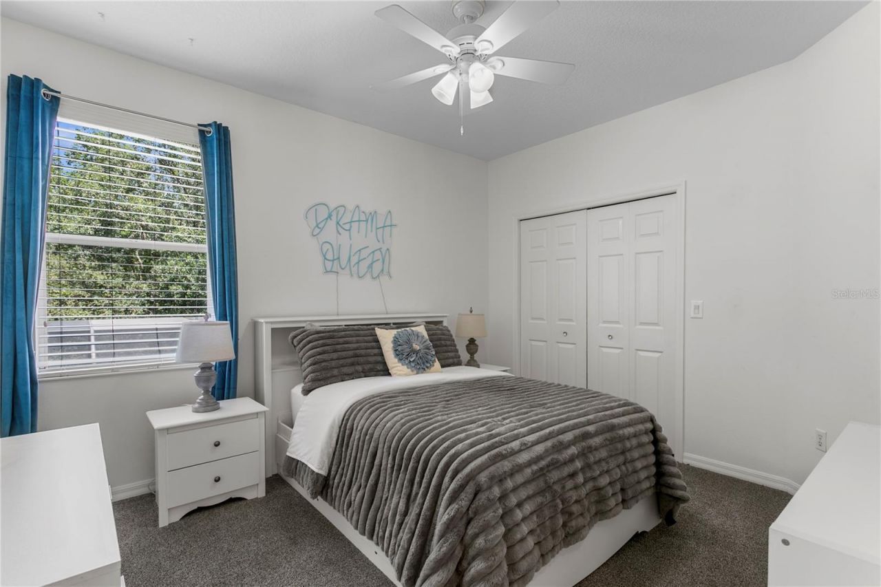 2113 Climbing Ivy Drive, Tampa, FL 33618 Photo