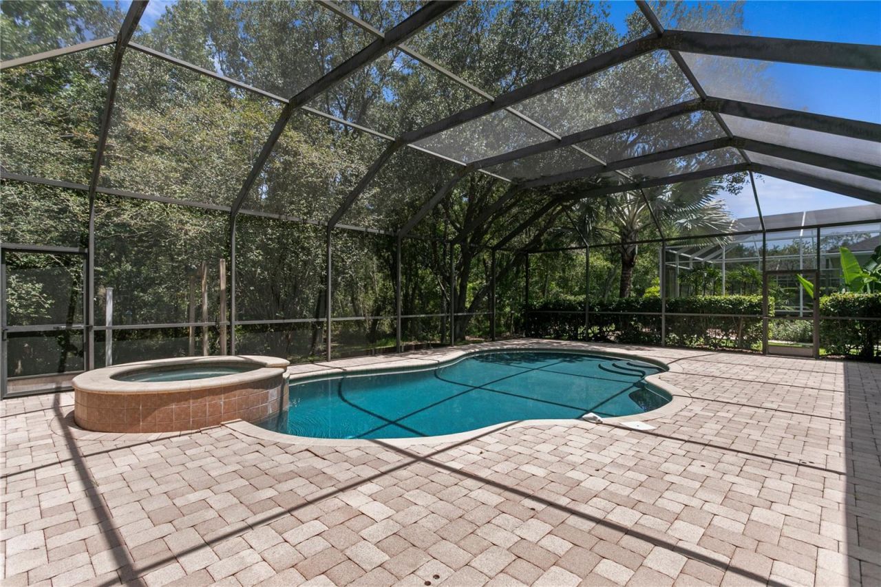2113 Climbing Ivy Drive, Tampa, FL 33618 Photo