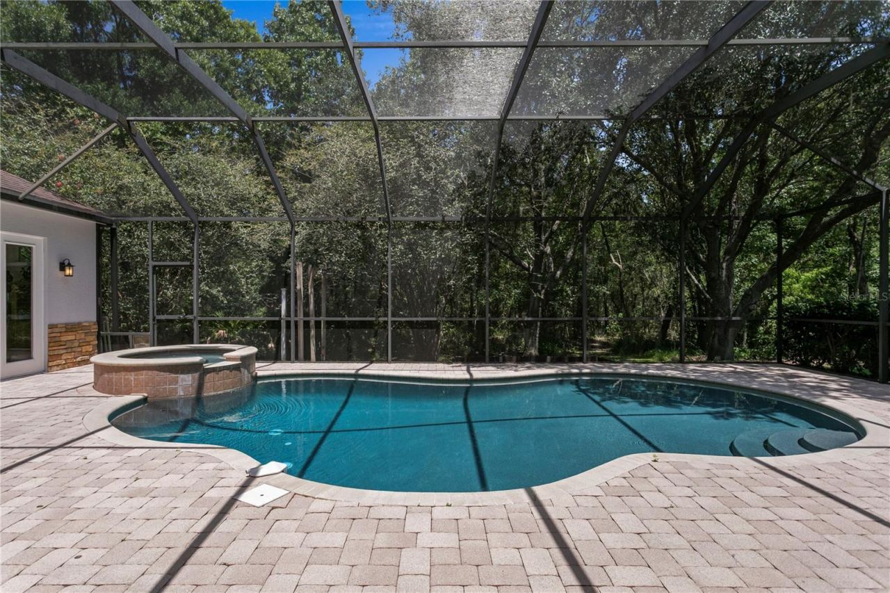 2113 Climbing Ivy Drive, Tampa, FL 33618 Photo