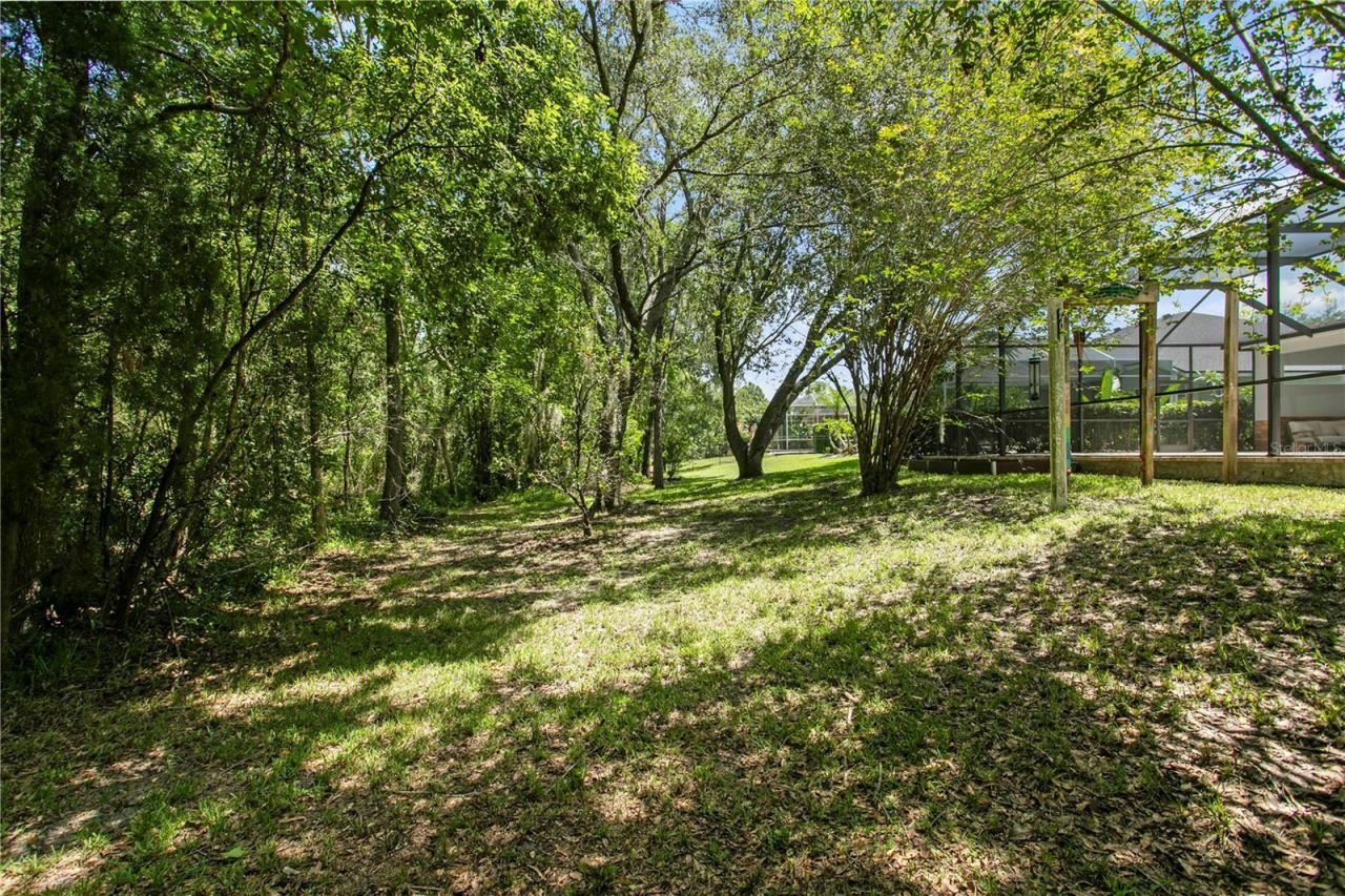 2113 Climbing Ivy Drive, Tampa, FL 33618 Photo