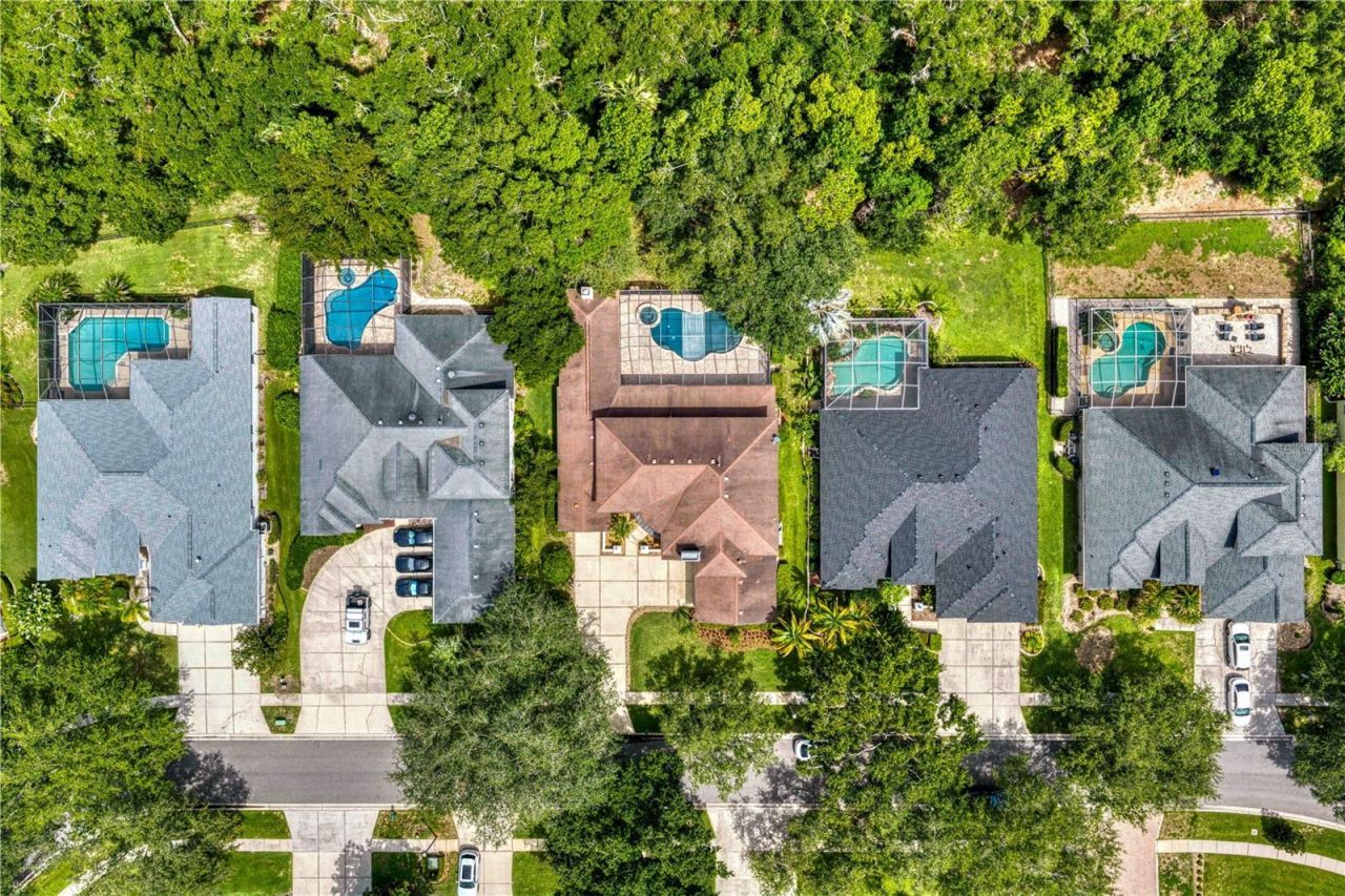 2113 Climbing Ivy Drive, Tampa, FL 33618 Photo