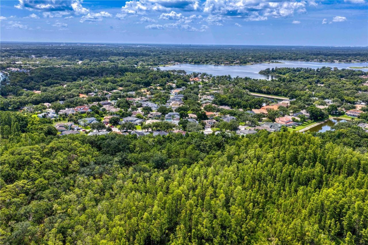 2113 Climbing Ivy Drive, Tampa, FL 33618 Photo