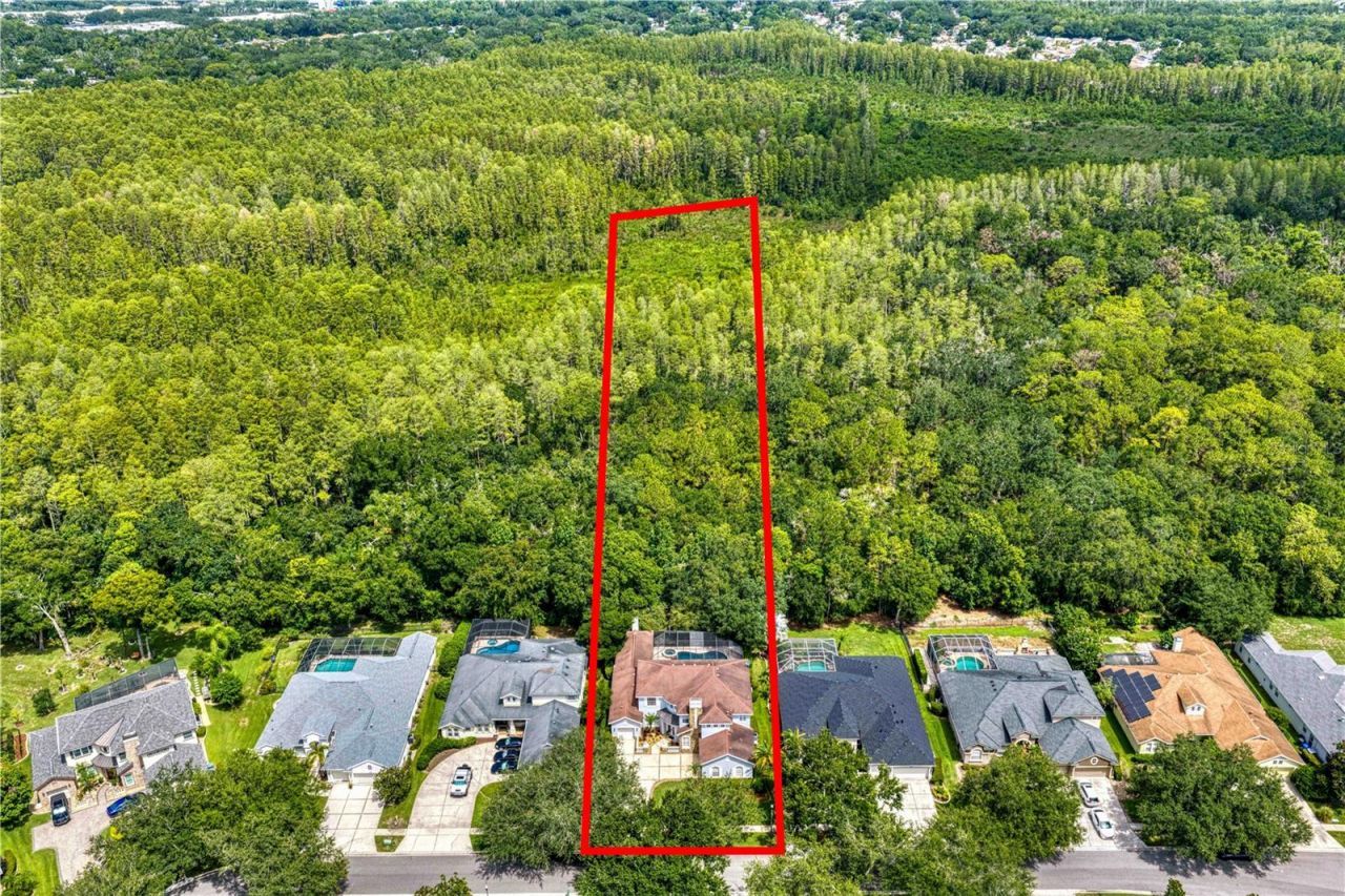 2113 Climbing Ivy Drive, Tampa, FL 33618 Photo
