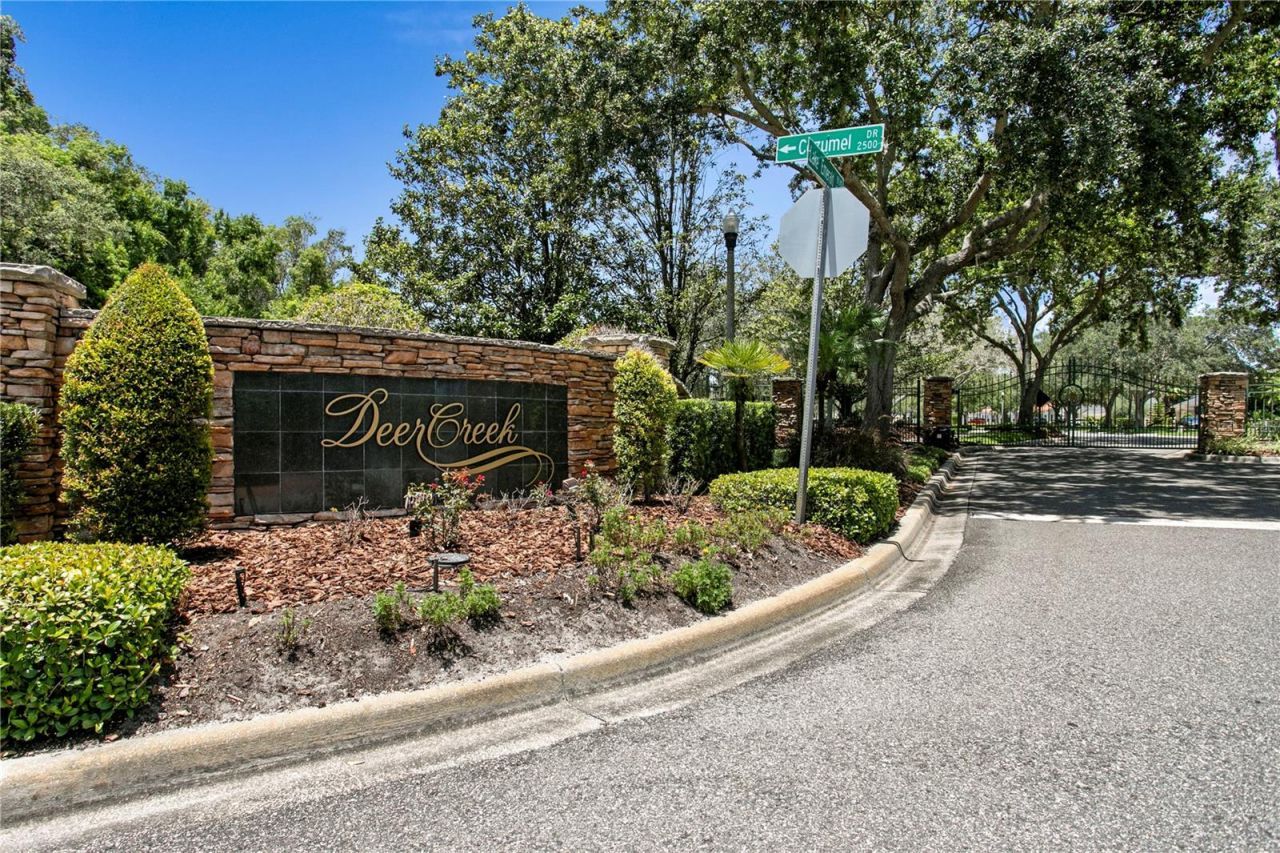 2113 Climbing Ivy Drive, Tampa, FL 33618 Photo
