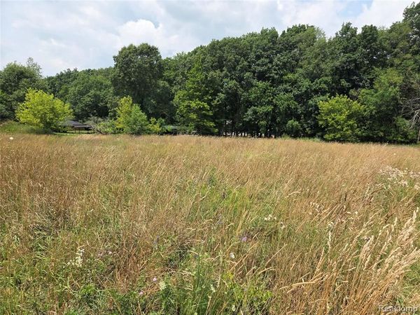 5800 parcel 2-C mack , Oceola Twp, MI 48843