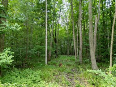 V/L Rabidue Road , Clyde Twp, MI 48049